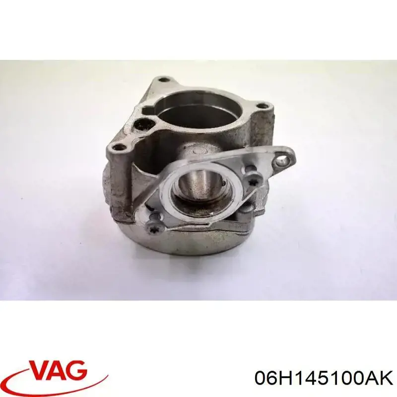 Вакуумний насос 06H145100AK VAG