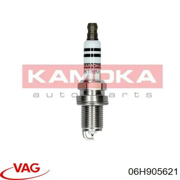 Свічки VAG 06H905621