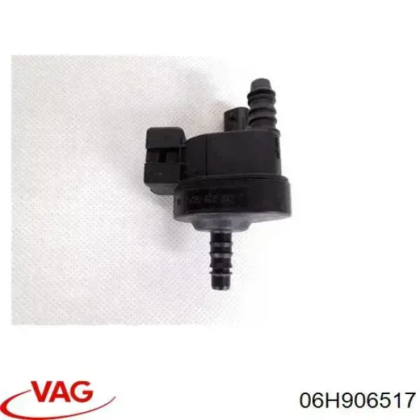06H906517 VAG 