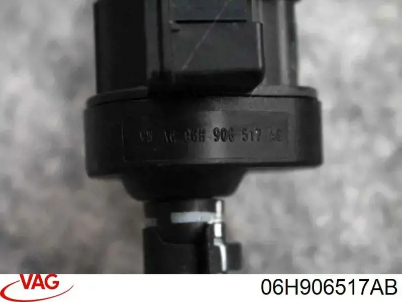  06H906517AB VAG