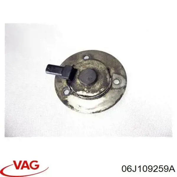 Купити 06J109259A VAG Клапан фазорегулятора