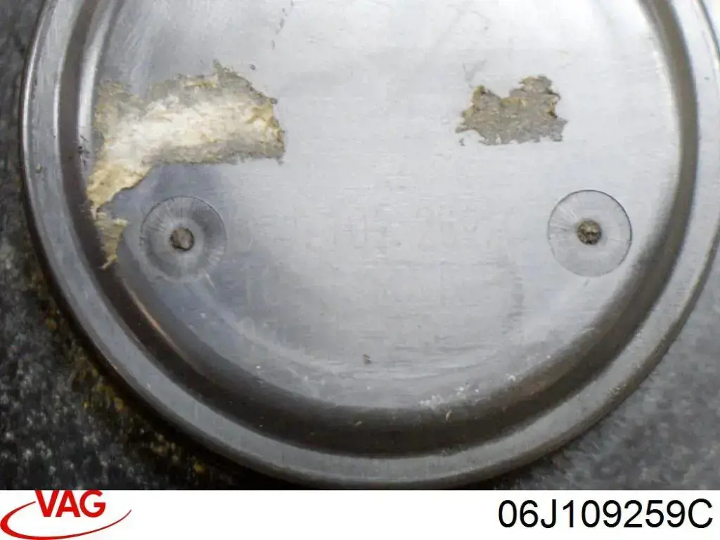 Купити 06J109259C VAG Клапан фазорегулятора