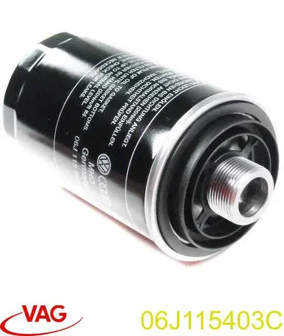 Купити 06J115403C VAG Фільтр очищення масла відцентровий