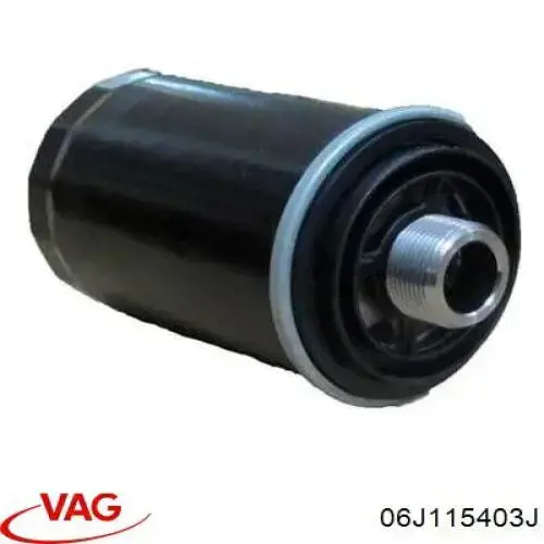 Купити 06J115403J VAG Фільтр очищення масла відцентровий