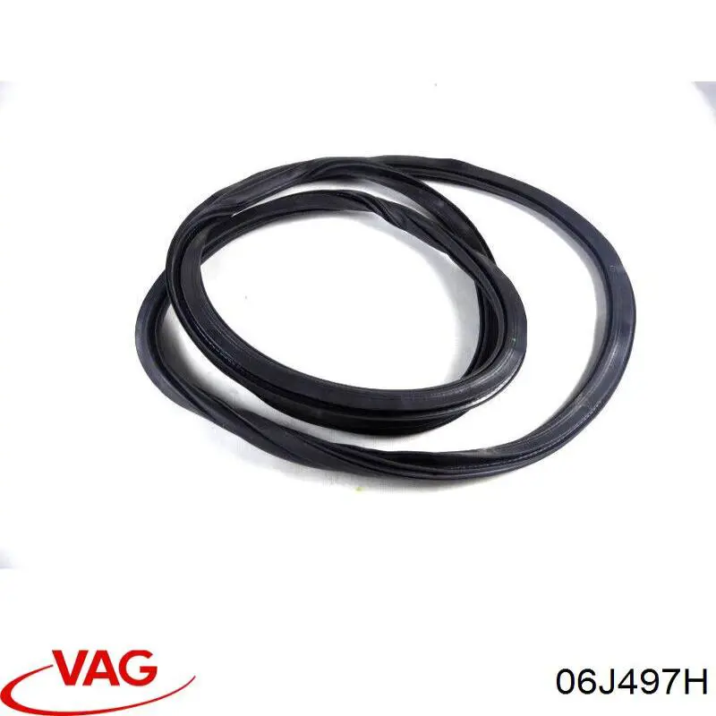  VAG 06J497H