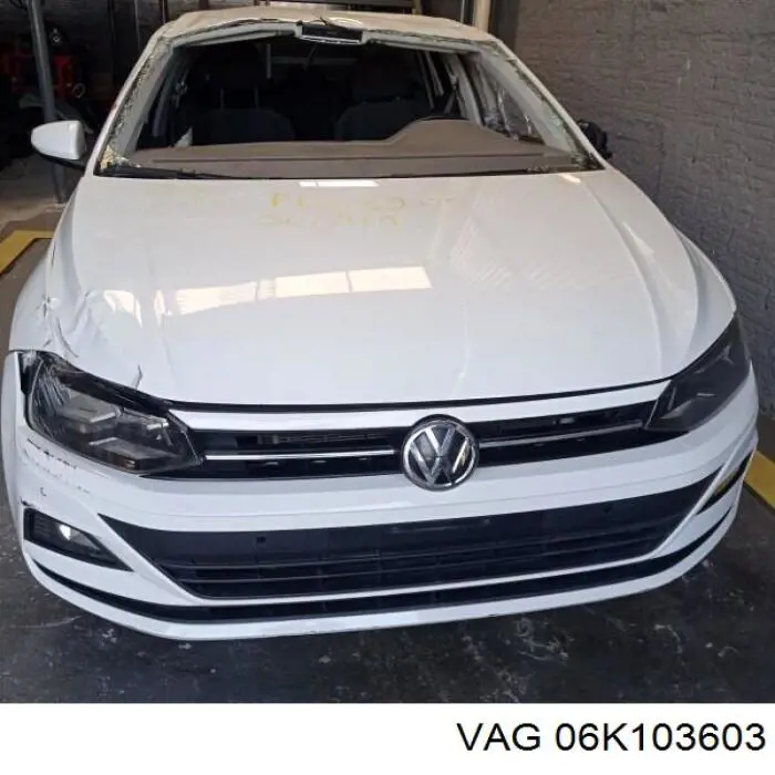 06K103603 VAG 