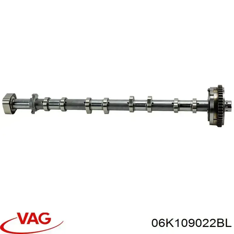 06K109022BL VAG 