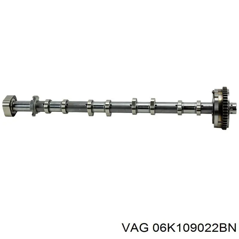 Купити 06K109022BL VAG 