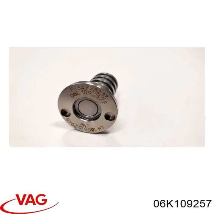 06K109257 VAG клапан електромагнітний положення (фаз розподільного валу)