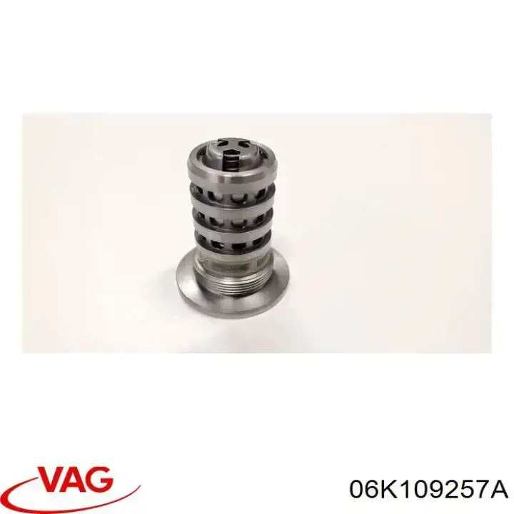 06K109257A VAG клапан електромагнітний положення (фаз розподільного валу)