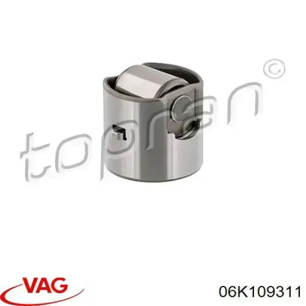 Штовхач паливного насосу VAG 06K109311