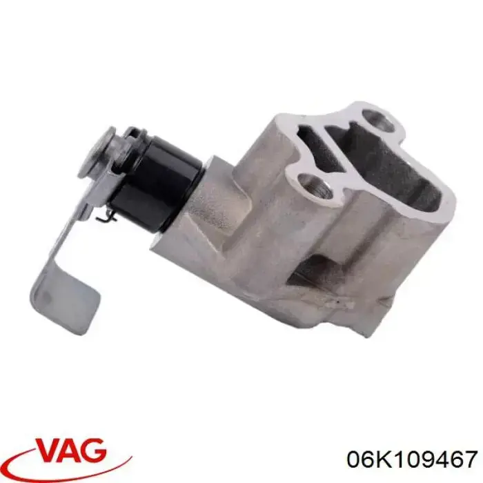 Натягувач ланцюга ГРМ розподілвалів VAG 06K109467 ціна, від 8.89 USD
