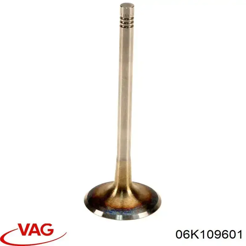 Клапан впускний VAG 06K109601 ціна, від 7.15 USD