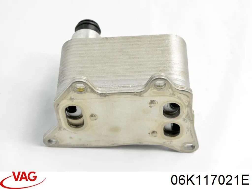 06K117021E VAG 