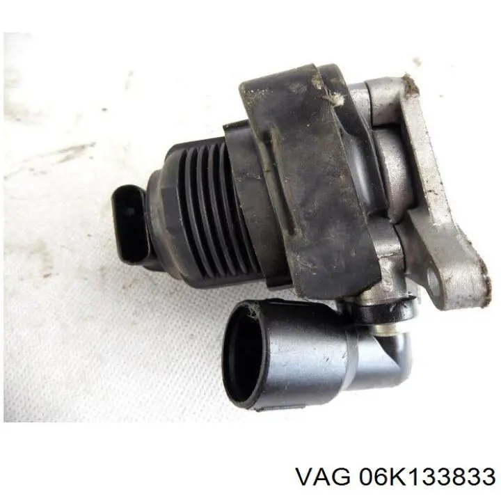 06K133833 VAG 