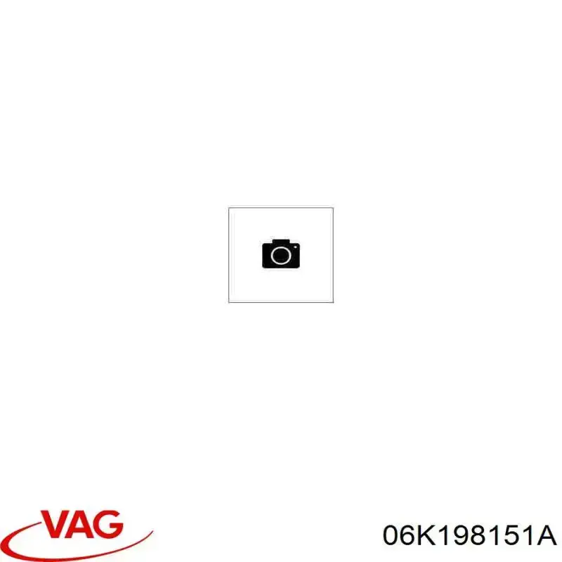 Купити 06N198151 VAG 