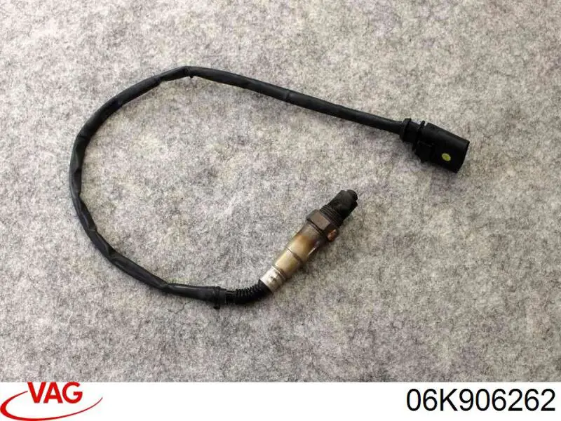06K906262 VAG 