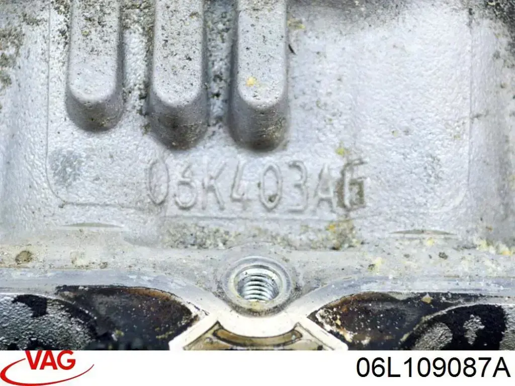 06L109087A VAG 