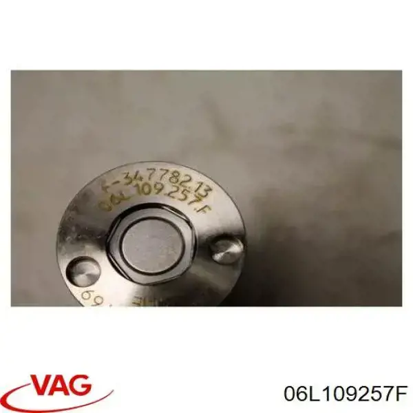 06L109257F VAG клапан електромагнітний положення (фаз розподільного валу)