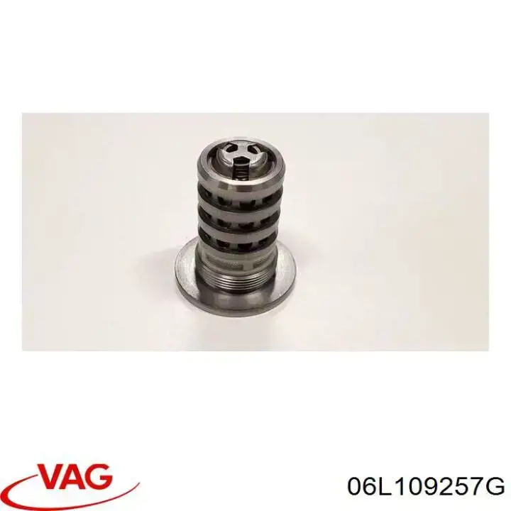 Купити 06L109257G VAG Клапан фазорегулятора