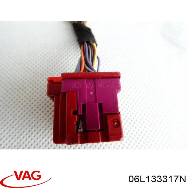 06L133317E VAG Розподільник палива