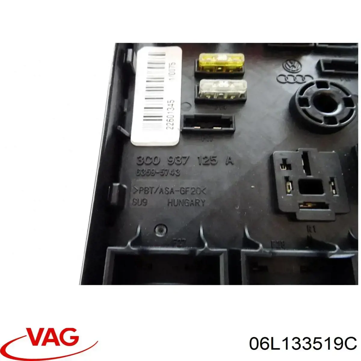 06L133519C VAG 