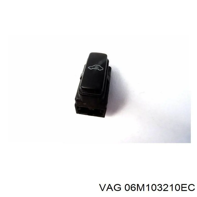 Купити 06M103210EC VAG 