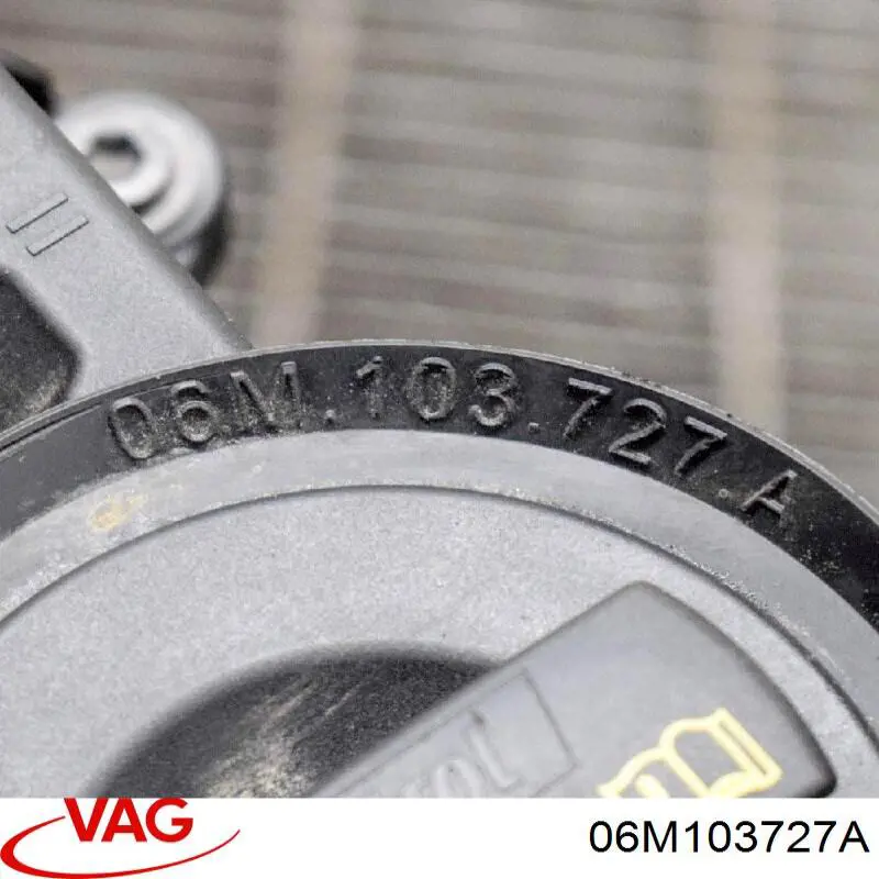 06M103727A VAG 