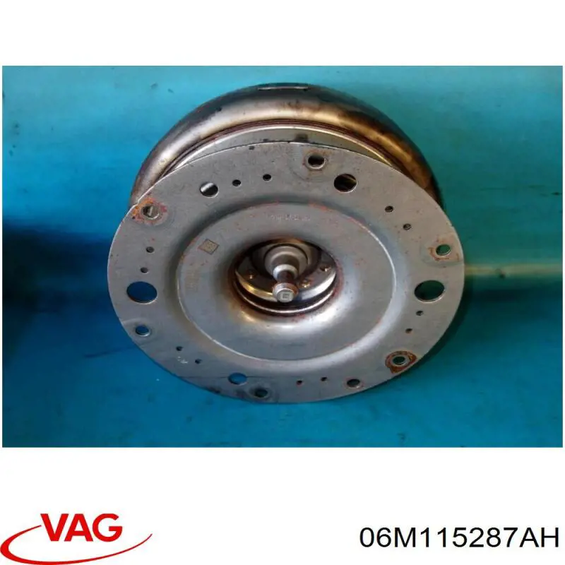  VAG 06M115287AH ціна, від 88.68 USD