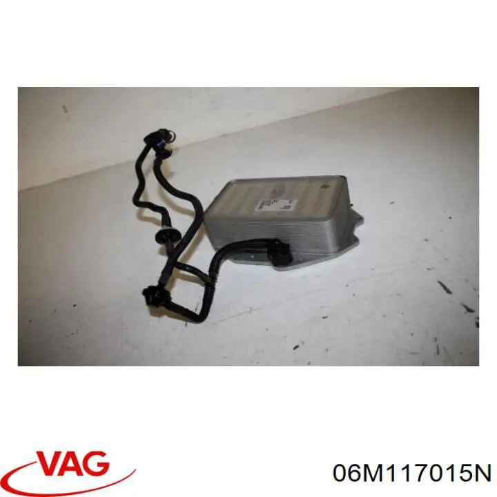 06M117015N VAG 