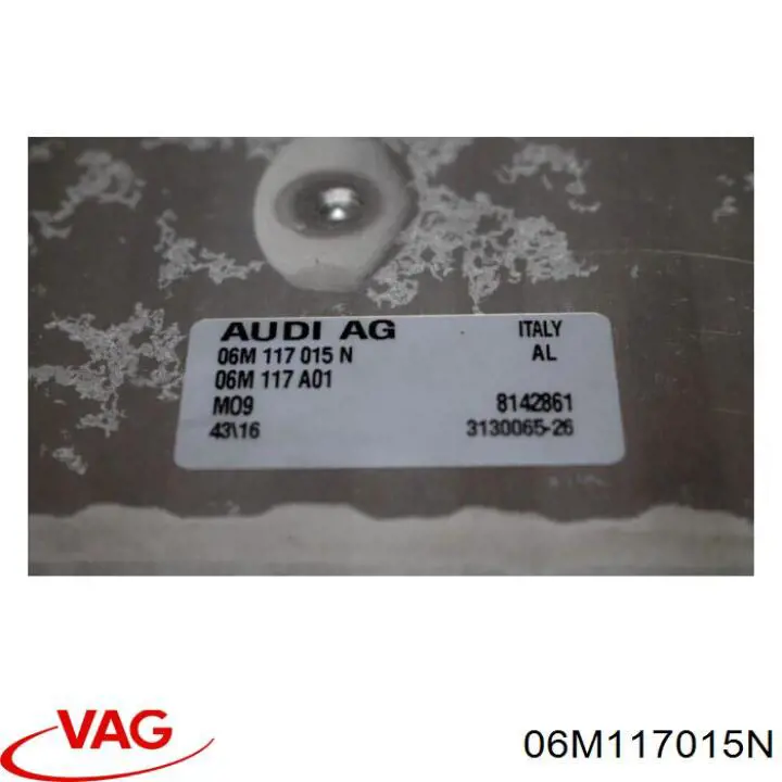 Купити 06M117015N VAG 