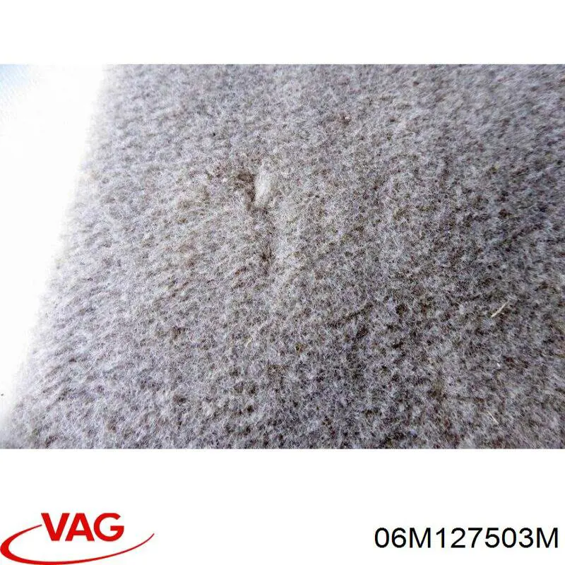 06M127503M VAG 