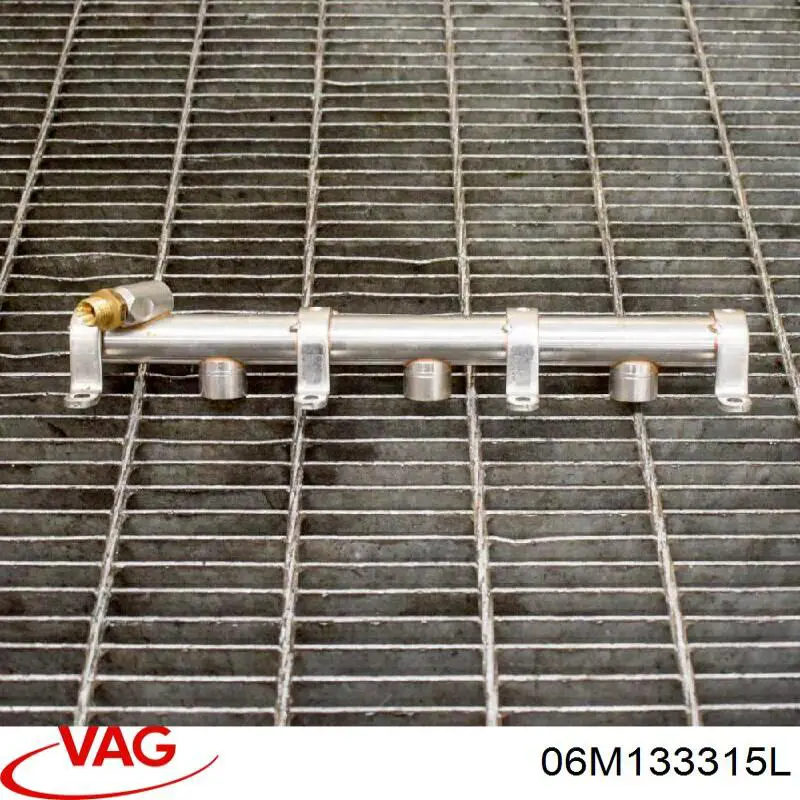 06M133315L VAG Розподільник палива (рампа) лівий