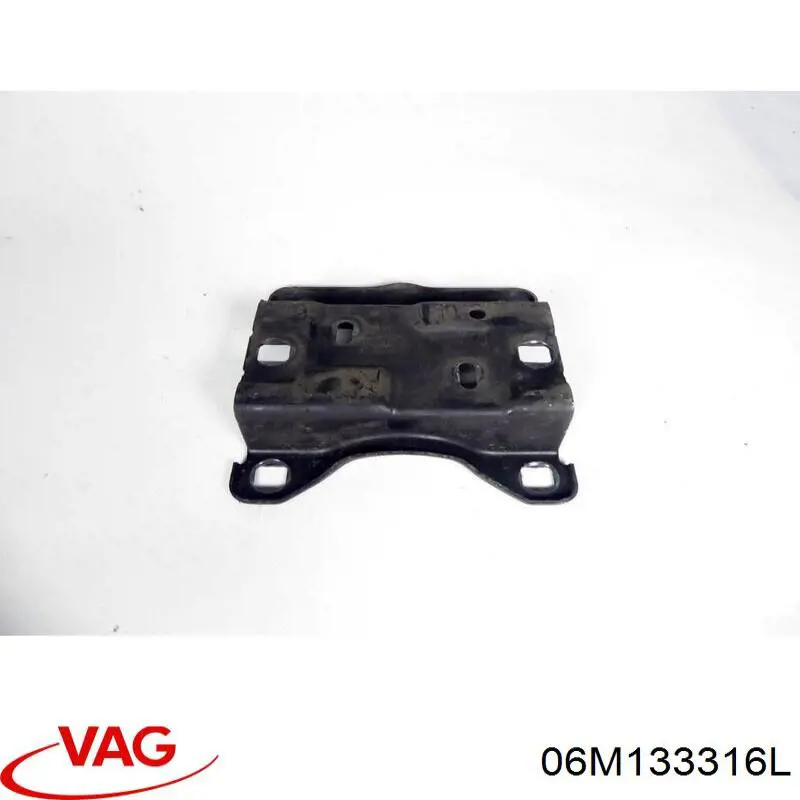 06M133316L VAG Розподільник палива (рампа) правий