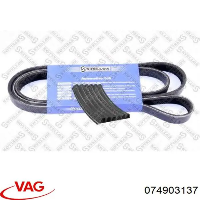 074903137 VAG Поліклиновий ремінь