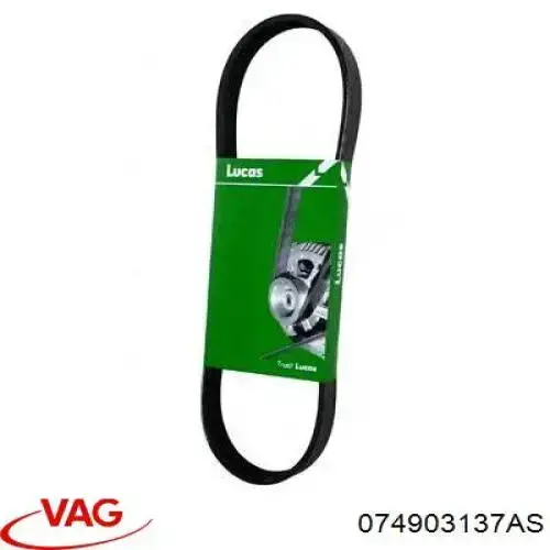 Купити 074903137AS VAG Ремінь генератора
