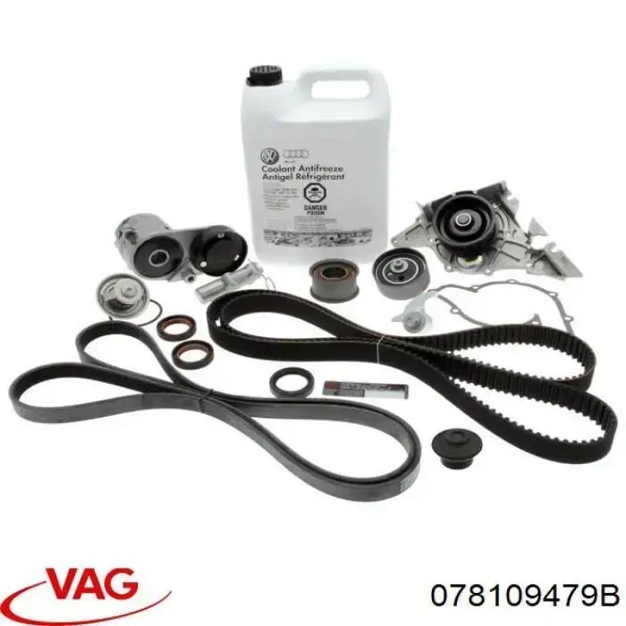 Натягувач ременя ГРМ 078109479B VAG