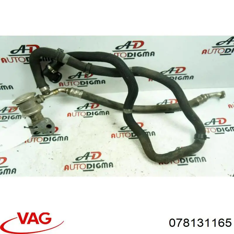 Купити 078131165 VAG 