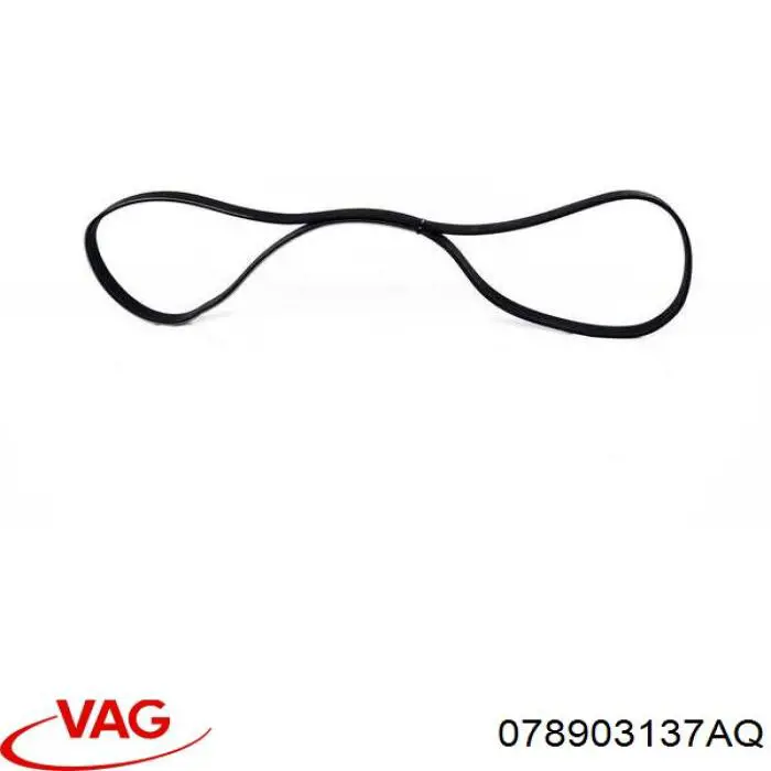 078903137AQ VAG Поліклиновий ремінь