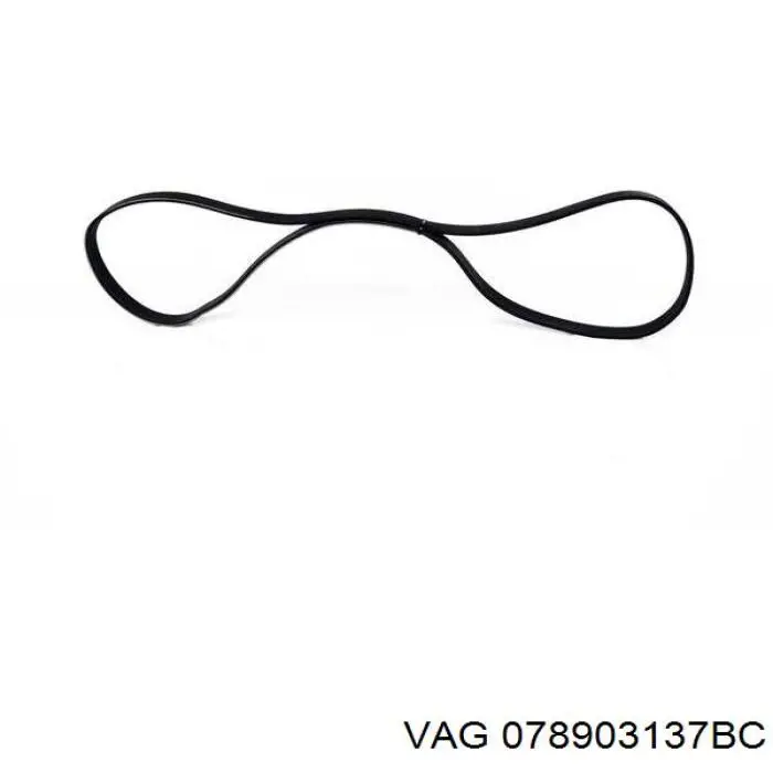 078903137BC VAG Поліклиновий ремінь