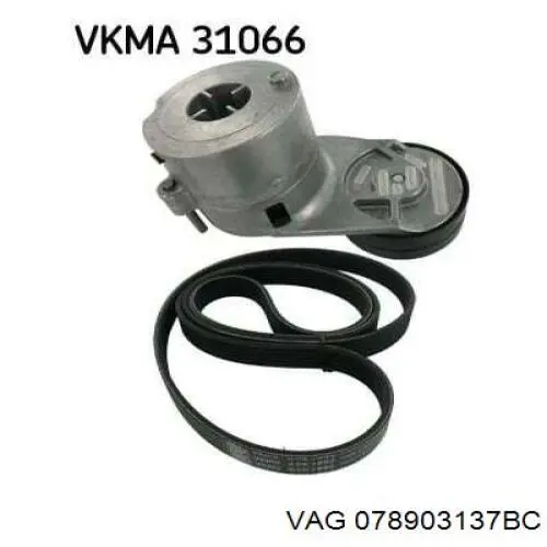 Купити 078903137BC VAG Ремінь генератора