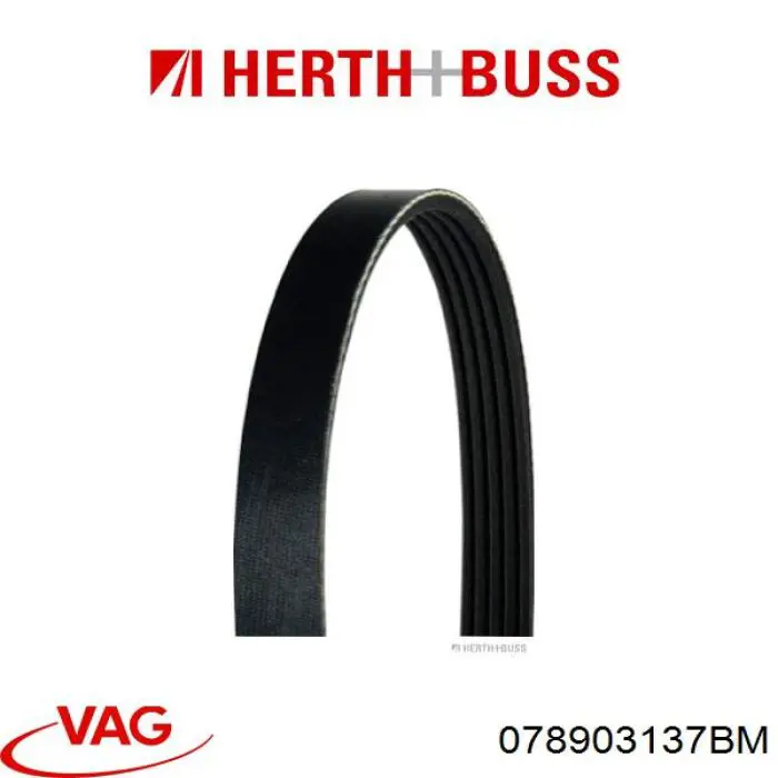 078903137BM VAG Поліклиновий ремінь