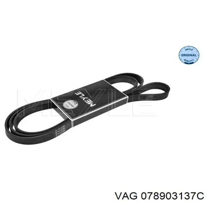 1376084 Ford Поліклиновий ремінь