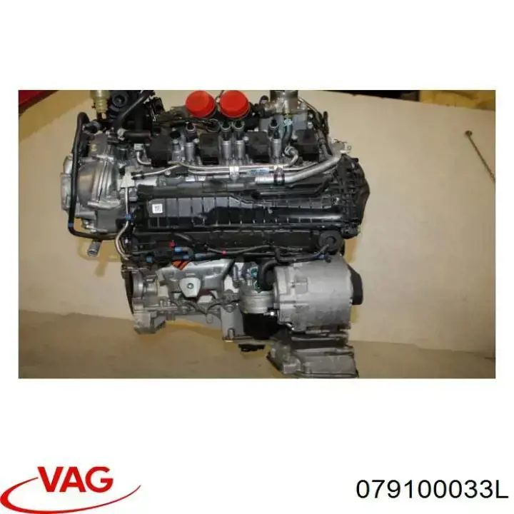 079100033L VAG Мотор в зборі