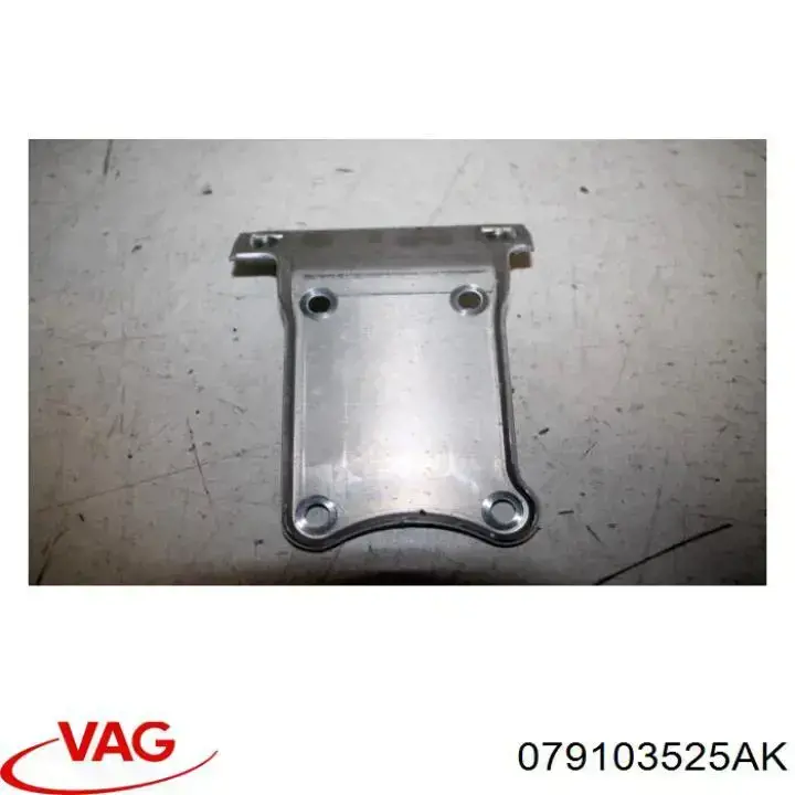 Купити 079103525AK VAG 