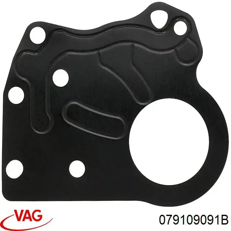 Купити 079109091B VAG 