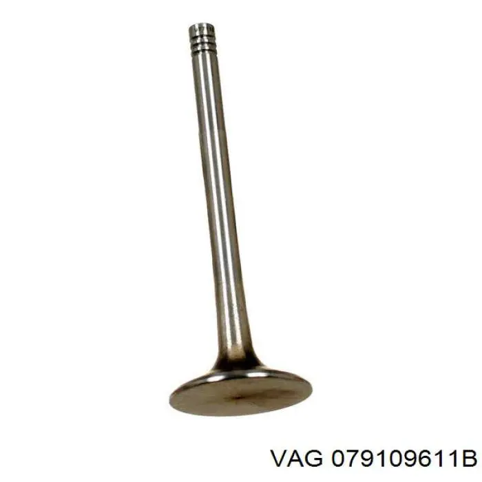 Купити 079109611B VAG Клапан випускний
