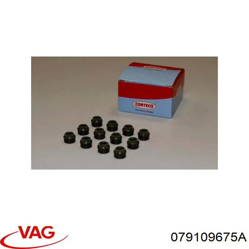 079109675A VAG 