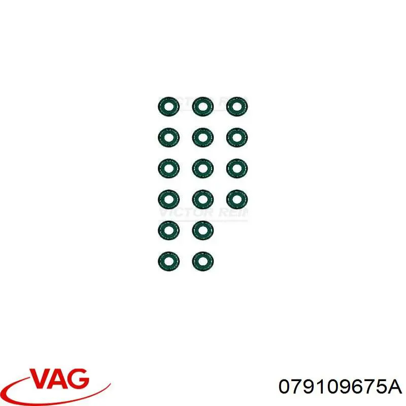 Купити 079109675A VAG 