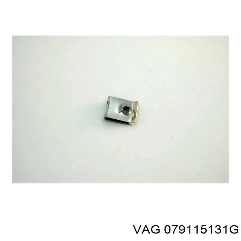 079115131G VAG 
